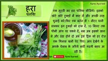 किडनी की सफाई सिर्फ पांच रुपए में || Home Remedies for Clean our Kidney || Apna Ayurved