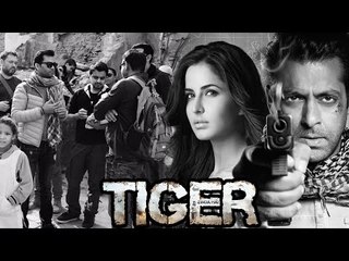 Salman & Katrina's Tiger Zinda Hai Shoot Starts This March | Releases Christmas 2017