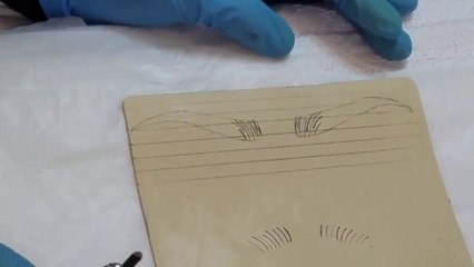 Lesson 8- Drawing Spine 6 (David Nguyen, iBrows Academy)