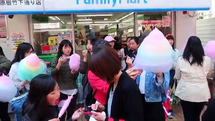 Tokyo Cherry Blossom Festival and Cat Cafe! | Evan Edinger Travel