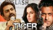 Nawazuddin Siddiqui REFUSED To Work With Salman Khan In Tiger Zinda Hai | SHOCKING