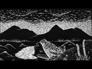 Câmera - Desolation Peak