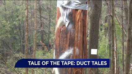 Damaged Utility Pole Held Together With Duct Tape in Pennsylvania