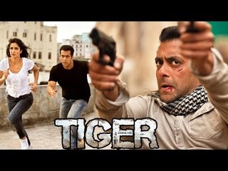 Salman Khan Does HOLLYWOOD LEVEL STUNTS In Tiger Zinda Hai