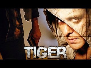 Salman's First Action Shoot For Tiger Zinda Hai Ends In Abu Dhabi