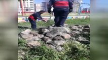 Diyarbakır'da Okul Bahçesine Giren 1.5 Metrelik Yılanı İtfaiye Yakaladı