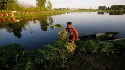 Sustainability and Textiles Reconciled
