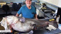 Florida Man Catches A 120-Pound Catfish