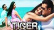 Salman Khan-Katrina Kaif To Shoot In FROZEN LOCATIONS For Tiger Zinda Hai