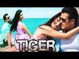 Salman Khan-Katrina Kaif To Shoot In FROZEN LOCATIONS For Tiger Zinda Hai