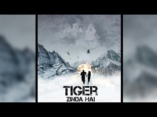 Salman & Katrina Kaif's TIGER ZINDA HAI Poster - FAN Made Goes Viral