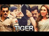 Salman & Katrina's New Still From Tiger Zinda Hai , Salman Khan To Romance Iulia Vantur In Dabangg 3