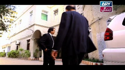 Aisi Hai Tanhai Episode 25 & 26 - on ARY Zindagi in High Quality 26th April  2018