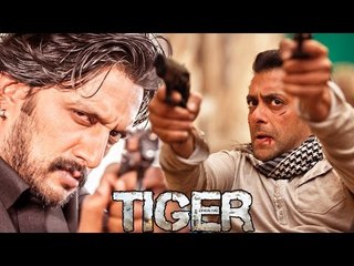 Salman Khan's Tiger Zinda Hai Sudeep Play VILLAIN Role
