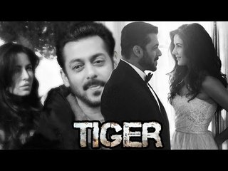 Salman Khan Getting TOO CLOSE To Katrina Kaif In Austria ?