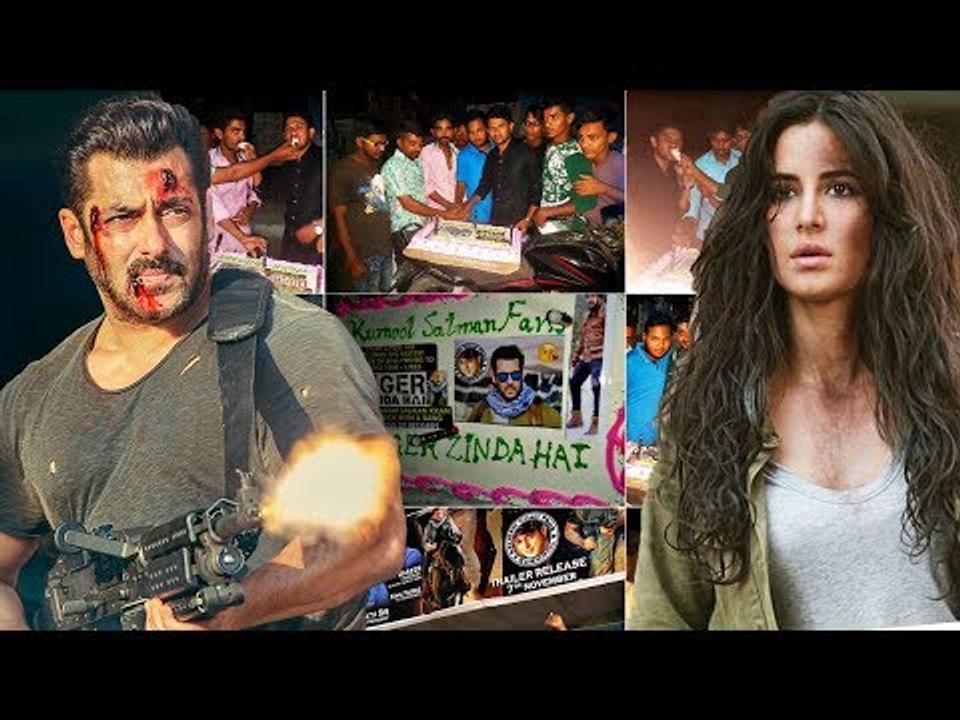 Salman's Tiger Zinda Hai Trailer Most Viewed On Youtube | Fans Celebrate By Cake Cutting