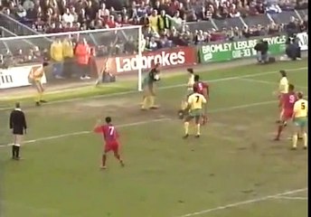 Crystal Palace - Norwich City 19-01-1991 Division One