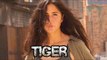 Katrina Kaif's TIGRESS LOOK From Tiger Zinda Hai