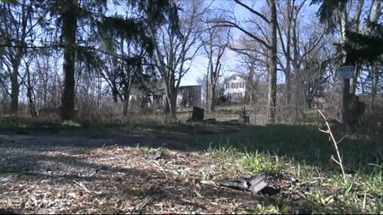 Man Charged After Cats Found Stuffed in Kennels Outside Foreclosed Home