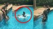 Shahrukh Khan Daughter Suhana Khan Enjoys In A Pool In Bikini