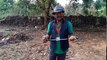 Man releasing snake Venomous(Cobra) snake rescue team Panchet dam(N G O)