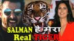 Katrina Kaif Admits She Loves Salman - Calls Him Her Real Tiger