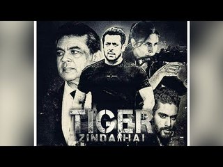 Salman's TIGER ZINDA HAI Poster - Fan Made Goes Viral - Katrina Kaif , Angad Bedi