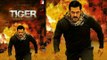 Salman's TIGER ZINDA HAI Poster - Fan Made Goes Viral