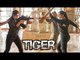 Katrina Kaif Shoots Action Sequence For Tiger Zinda Hai