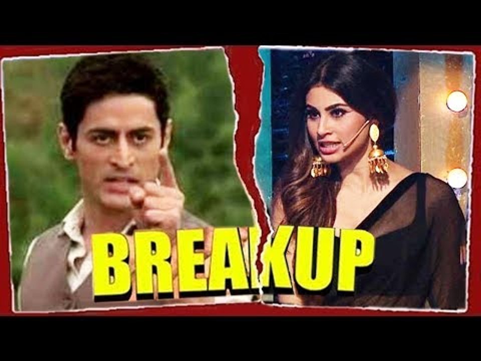 Mouni Roy & Mohit Raina BREAK Their Relationship ? Unfollows On Instagram