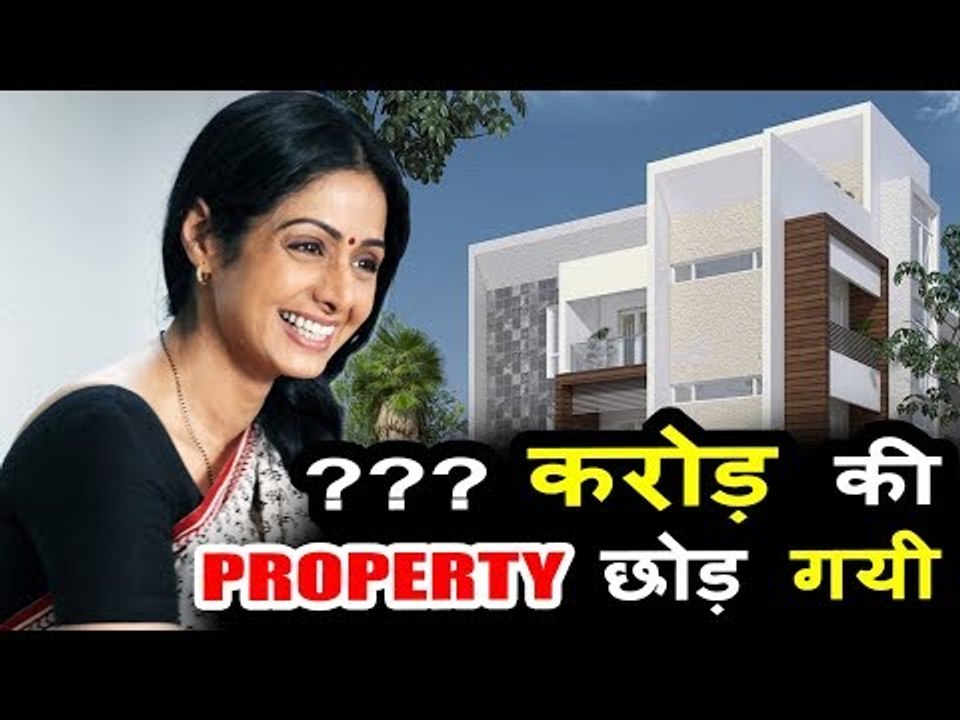 Here's LEAKED Property Details Of Sridevi Befor...