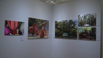 Efe celebra 50 años en Brasil con homenaje fotográfico a la Amazonía