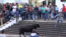 Bull Attack! Dangerous Bull Pursue people on the City Center