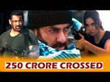 Salman's Tiger Zinda Hai CROSSES 250 CRORES Worldwide | Katrina Kaif