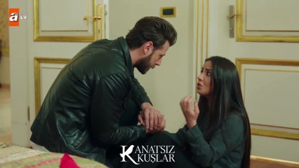 ZeyOn yeniden bir arada! -Kanatsız Kuşlar 43.Bölüm