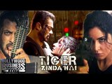 Bollywood Business Award For Salman Khan For Ruling Box-office In 2017 With Tiger Zinda Hai