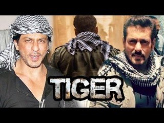 Shahrukh ENTERS Salman's Tiger Zinda Hai - All Records To Be Breaked