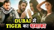 200 Crores Profit From Dubai For Salman's Tiger Zinda Hai - Prediction