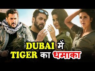 200 Crores Profit From Dubai For Salman's Tiger Zinda Hai - Prediction