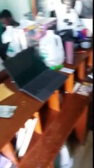 SOUTHEASTBEAST ENT LLC Presents: "AO" (Light Boy) - SOUTHEASTBEAST