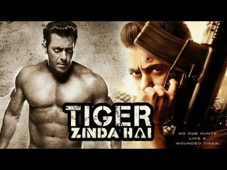 Salman Khan To Go SHIRTLESS In Tiger Zinda Hai