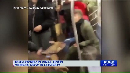 Owner of Dog Seen Attacking Woman on NYC Subway in Viral Video in Custody
