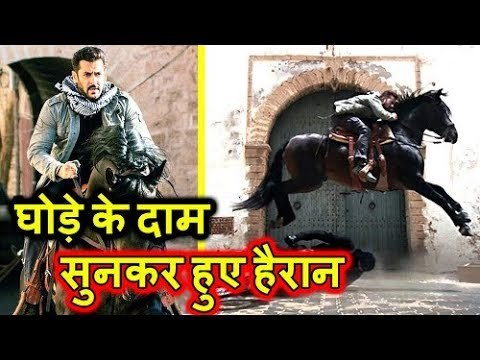 Salman Khan Horse Price | Tiger Zinda Hai | Katrina Kaif | Ali Abbas Zafar