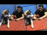 Salman Khan Smiling As He Plays With Pulkit Samrat’s Dog