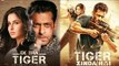 Salman & Katrina's REUNION Higher To See Than Film - Tiger Zinda Hai