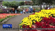 La Feria de las Flores y el Café atrae a más de 200.000 turistas