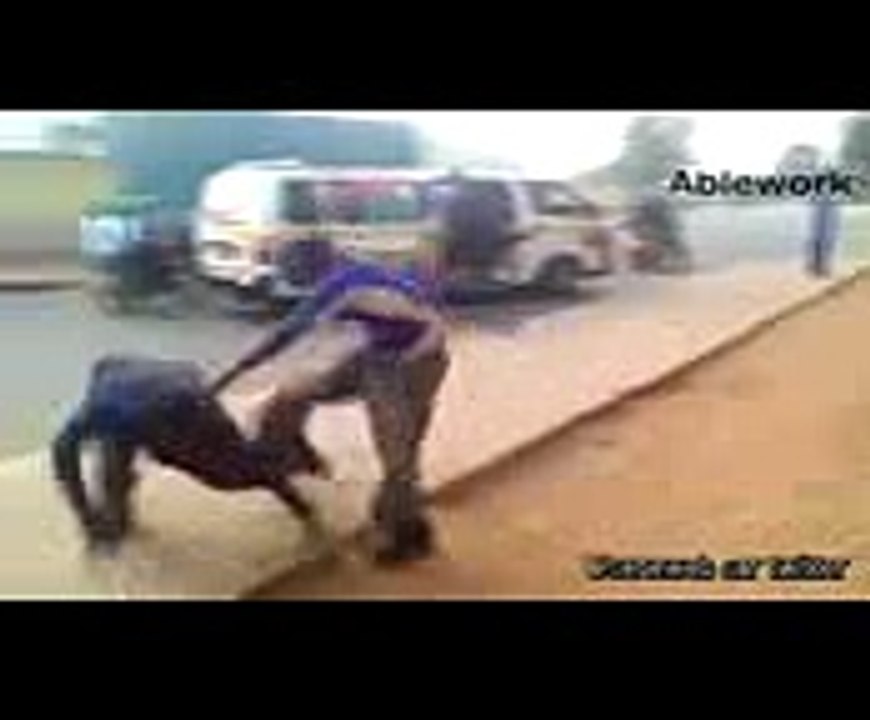 A mourir de rire: Déçus du combat Siteu vs Gouye Gui: un bien meilleur combat...