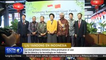 La vice primera ministra china promueve el uso de la ciencia y la tecnología en Indonesia