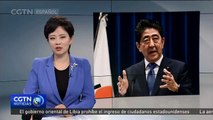 Primer ministro japonés disolverá Cámara de Representantes