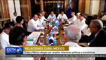 Cuba y México abogan por ampliar relaciones políticas y económicas